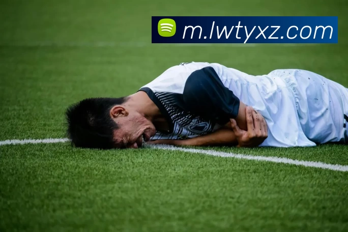 乐玩体育app平台生态图